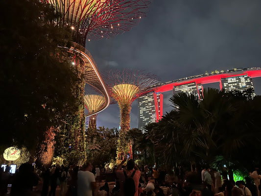 What Medications Can You Bring Into Singapore? | Travel Wellness Tips and Packing Guide
