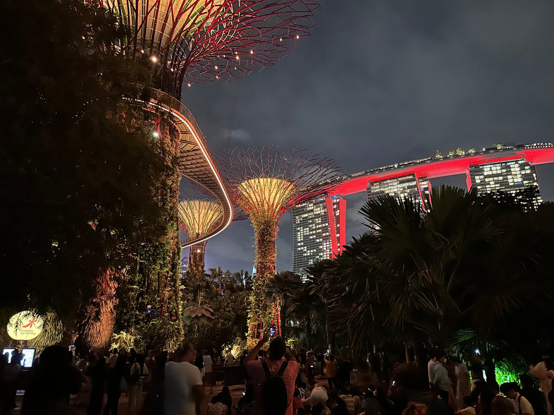 What Medications Can You Bring Into Singapore? | Travel Wellness Tips and Packing Guide
